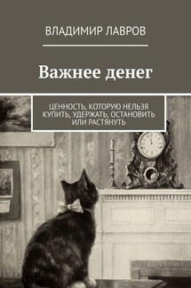 Важнее денег. Ценность, которую нельзя купить, удержать, остановить или растянуть - Владимир Лавров