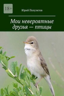 Мои невероятные друзья – птицы - Юрий Полуэктов