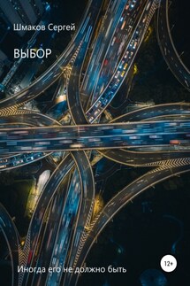 Выбор - Сергей Шмаков