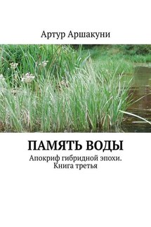 Память воды. Апокриф гибридной эпохи. Книга третья - Артур Аршакуни