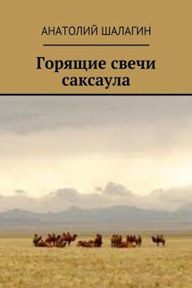 Горящие свечи саксаула - Анатолий Шалагин