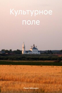Культурное поле - Паша Забродин