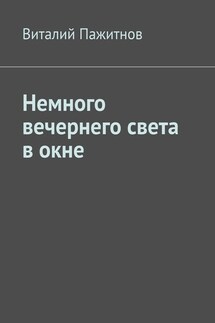 Немного вечернего света в окне - Виталий Пажитнов