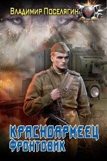 Красноармеец. Фронтовик - Владимир Поселягин