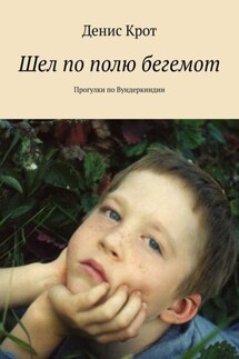 Шел по полю бегемот. Прогулки по Вундеркиндии - Денис Крот
