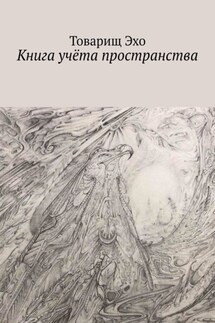 Книга учёта пространства - Товарищ Эхо