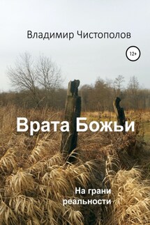 Врата Божьи - Владимир Чистополов
