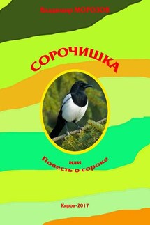 Сорочишка, или Повесть о сороке - Владимир Морозов