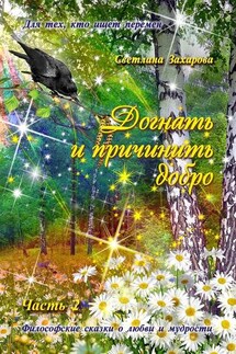 Догнать и причинить добро. Часть 2 - Светлана Захарова
