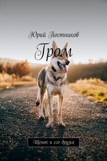 Гром. Щенок и его друзья - Юрий Постников