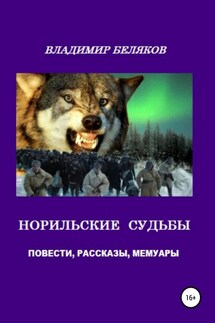 Норильские судьбы - Владимир Беляков