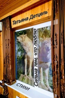 Сильна тем, что люблю. Стихи - Татьяна Детцель