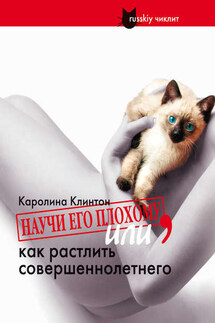 Научи его плохому, или как растлить совершеннолетнего - Каролина Клинтон