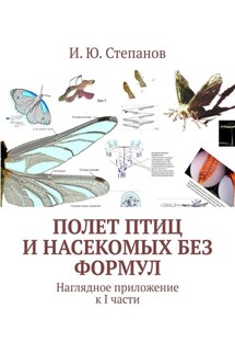 Полет птиц и насекомых без формул. Наглядное приложение к I части - И. Степанов