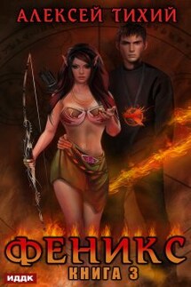 Феникс. Книга 3 - ИДДК