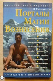 Порталы магии вознесения - Владимир Евланников