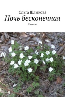Ночь бесконечная. Рассказы - Ольга Шлыкова