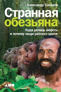 Странная обезьяна - Александр Соколов
