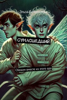 Сумасшедший. Сбежим вместе из этого ада - Эльза Бечуркаева