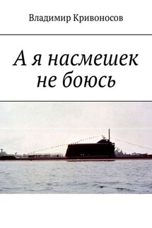 А я насмешек не боюсь - Владимир Кривоносов