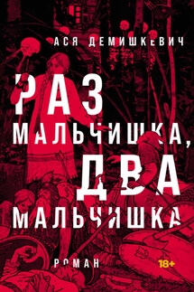 Раз мальчишка, два мальчишка - Ася Демишкевич