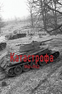 Катастрофа 1941-1942 - Яков Гольник