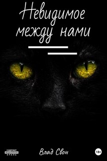 Невидимое между нами - Влад Свон