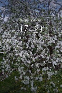 17—21 - Игорь Воронин