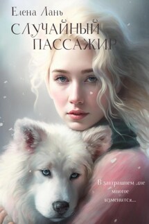 Случайный пассажир - Елена Лань