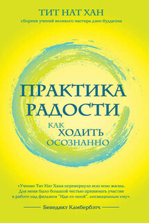 Практика радости. Как ходить осознанно - Тик Нат Хан