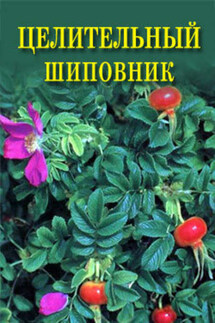Целительный шиповник - Иван Дубровин