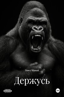 Держусь - Павел Чёрный