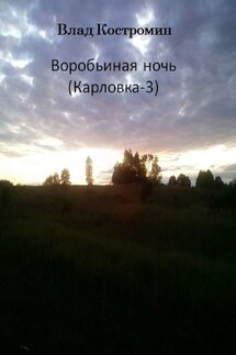 Воробьиная ночь. Карловка-3 - Влад Костромин