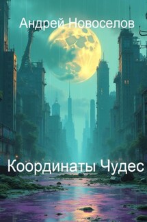 Координаты чудес - Андрей Новоселов