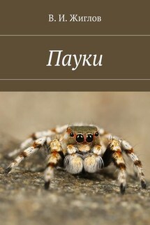 Пауки - В. Жиглов