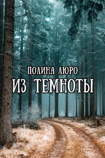 Из темноты - Полина Люро