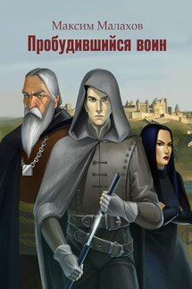 Пробудившийся воин - Максим Малахов