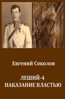 Леший-4. Наказание властью - Евгений Соколов