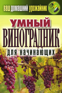 Умный виноградник для начинающих - Екатерина Животовская