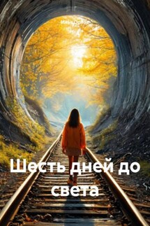 Шесть дней до света - Илья Орлов
