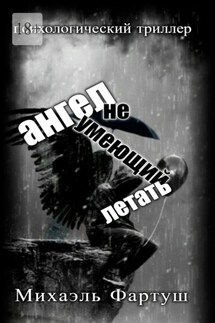Ангел, не умеющий летать - Михаэль Фартуш