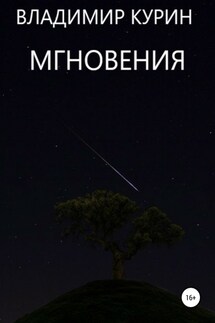 Мгновения - Владимир Курин