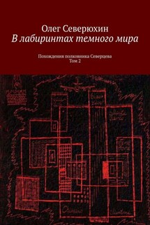 В лабиринтах темного мира. Похождения полковника Северцева. Том 2 - Олег Северюхин