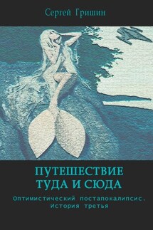 Путешествие туда и сюда - Сергей Гришин