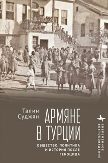 Армяне в Турции. Общество, политика и история после геноцида - Талин Суджян