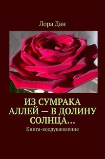 Из сумрака аллей – в долину Солнца… Книга-воодушевление - Лора Дан