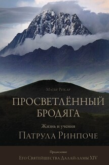 Просветлённый бродяга. Жизнь и учения Патрула Ринпоче - Матье Рикар