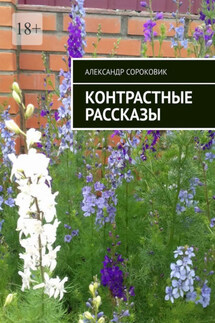 Контрастные рассказы - Александр Сороковик