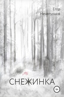 Снежинка - Егор Нечепурнов