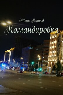Командировка - Женя Петров